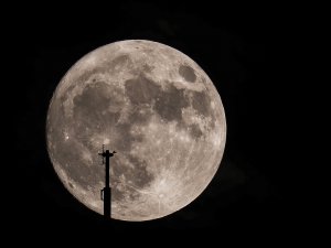 20161114_2_20120163_16002795_web.jpg