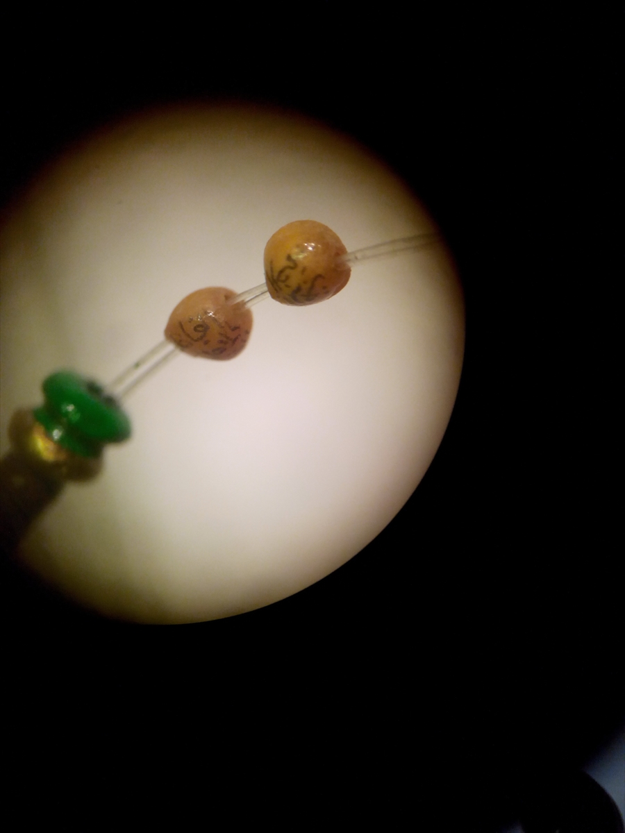 20161215_2_20709829_17010378_web.jpg