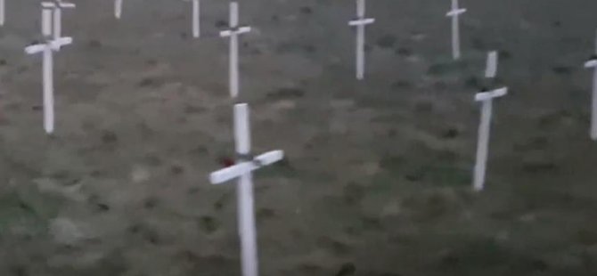 241301.jpg