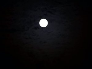 70362_42416_14112016215525_17.jpg