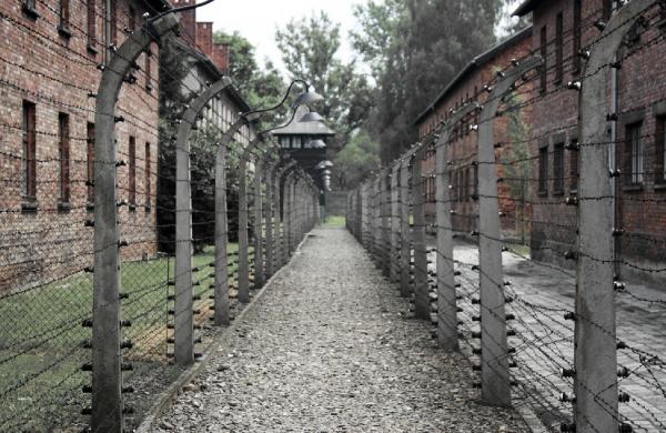 auschwitz-muzesini-iki-milyondan-fazla-kisi-ziyaret-etti_7017_dhaphoto2.jpg