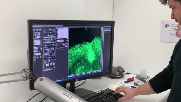 b8eff851004e98e86793c3a76228074b.jpg