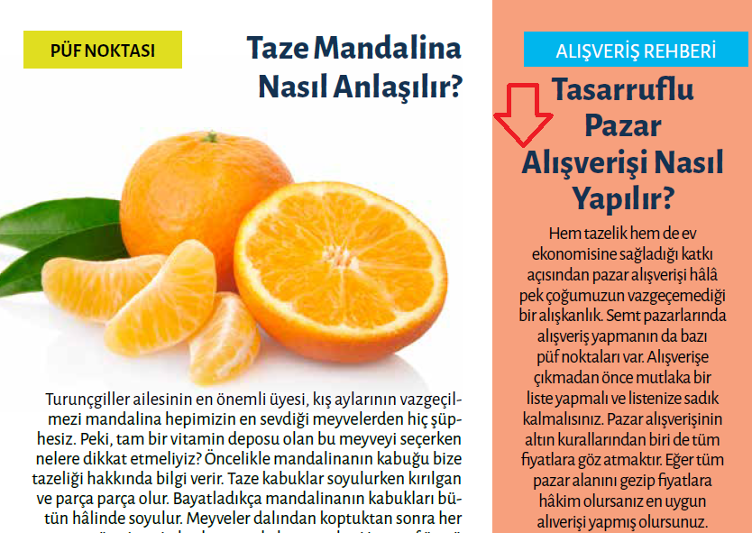 diyanet.png