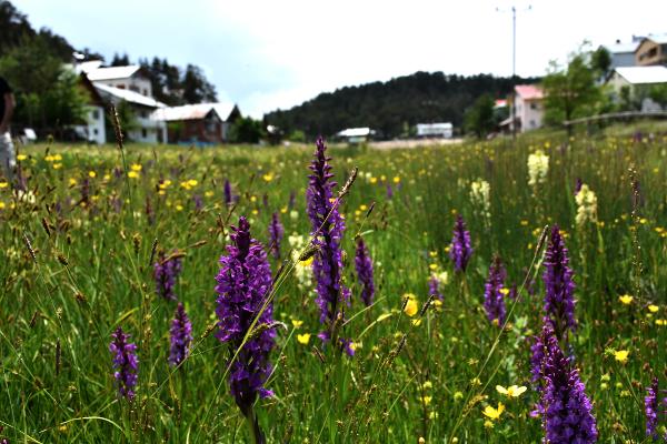 egricimen-yaylasinda-doga-soleni_9510_dhaphoto5.jpg
