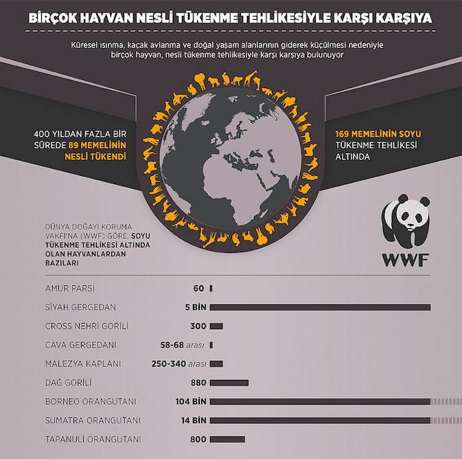 ekran-resmi-2018-03-05-10.02.07.png