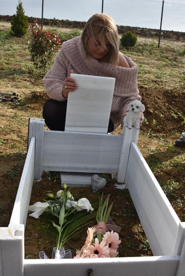 hollandadan-kopekleri-angelin-mezarini-ziyaret-icin-geldiler_3259_dhaphoto4.jpg