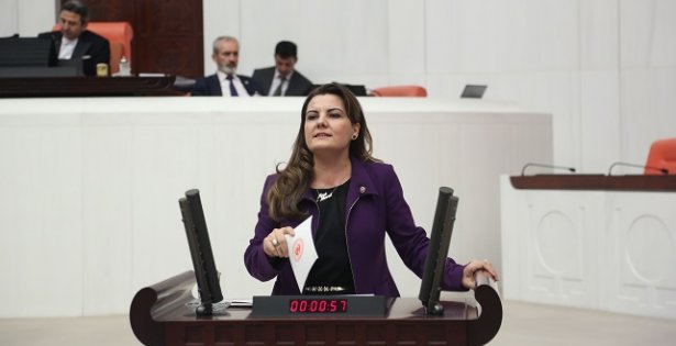 hurriyet_karamandaki_igrenc_olayi_meclise_tasidi_h13178.jpg