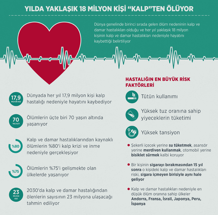 kalp.jpg