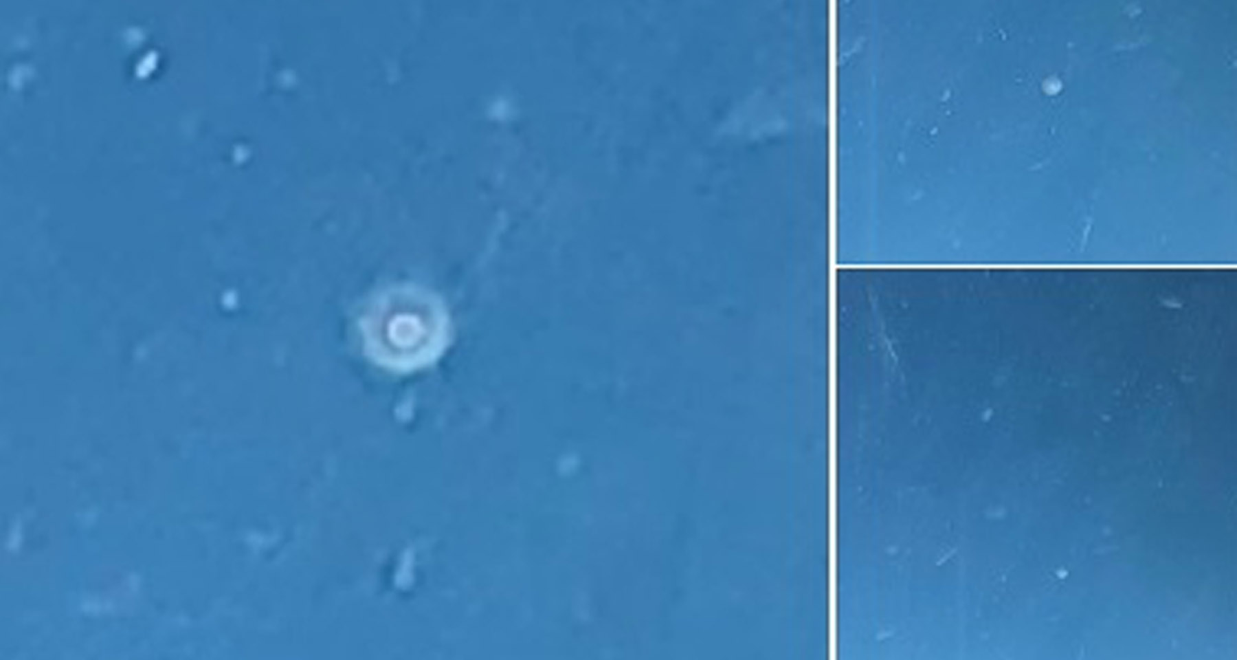 pilot-ufo1.jpg