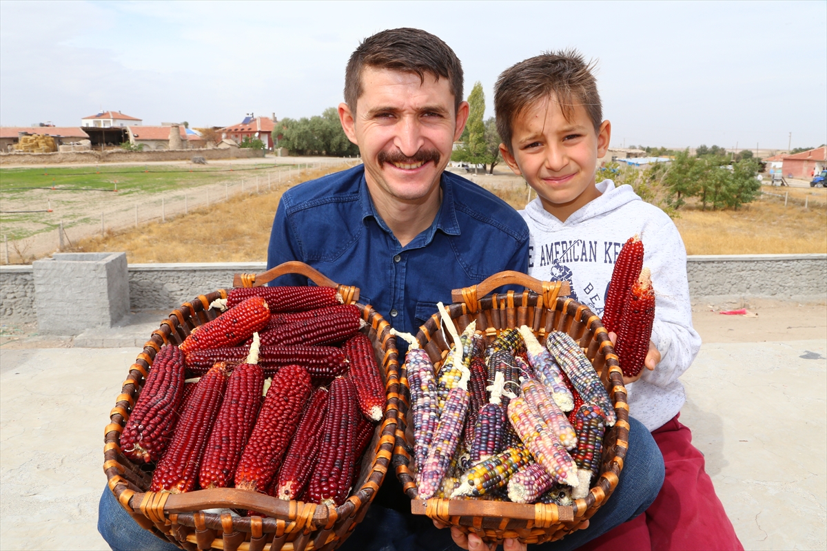renkli-misir.jpg